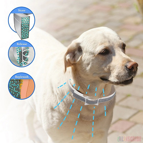 Tick collar for protect your Dog from Ticks