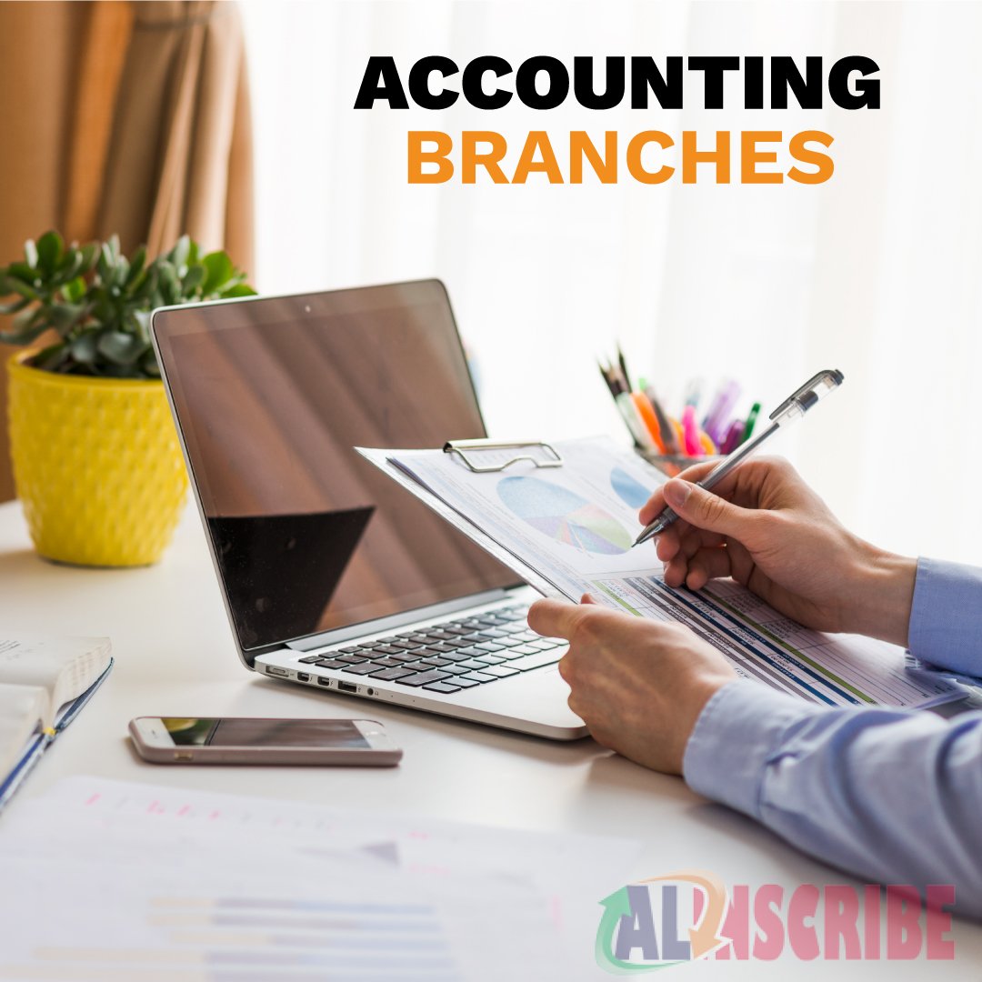 Branches (or) Sub-Fields Of Accounting