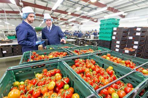 ERP Software For Food And Beverage Industry
