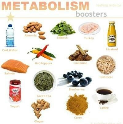 Foods Which Fasten The Metabolism