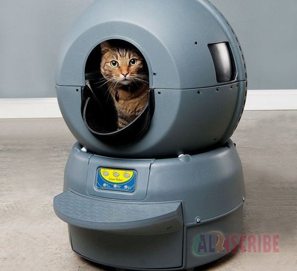 How To Choose A Perfect Auto Cleaning Litter Box.