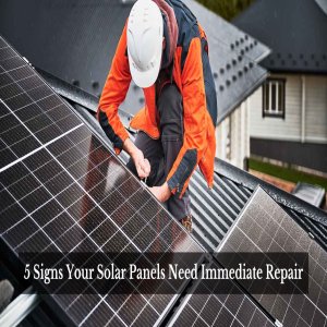 5 Signs Your Solar Panels Need Immediate Repair