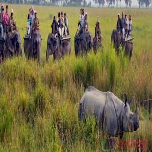 Darjeeling Tour Packages - Enjoy Your Holidays In Darjeeling