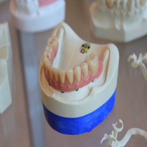 How To Find The Best Postgraduate Dental Courses For You!
