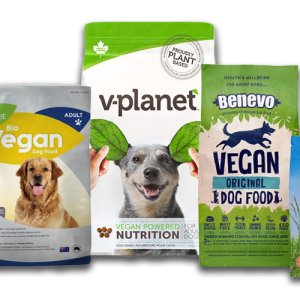Is The BIOpet Vegan Dog Dood The Best Alternative For Your Pet’s Lifestyle?