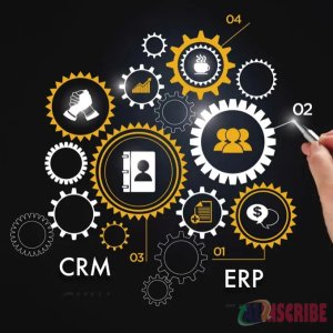 Reasons Why You Need Customer Relationship Management In Your ERP System