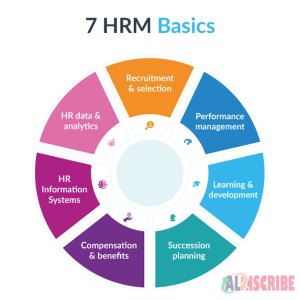 Top 10 Human Resource ERP Systems For Small Business