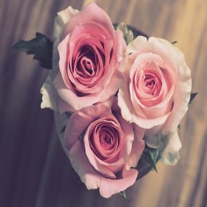 What Are The Best Wood Flowers That You Should Use To Create Wooden Arrangements?