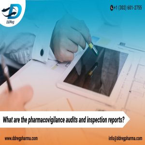 What Are The Pharmacovigilance Audits And Inspection Reports?