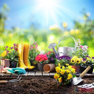 What Makes Gardening One Of The Best Hobbies To Be Pursued?