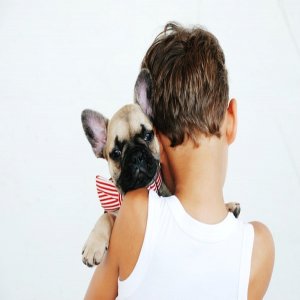 What You Can Find At A Pet Warehouse