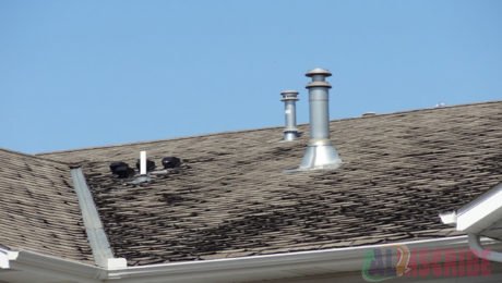 What Happens If You Leave Roof Leaks Unnoticed?