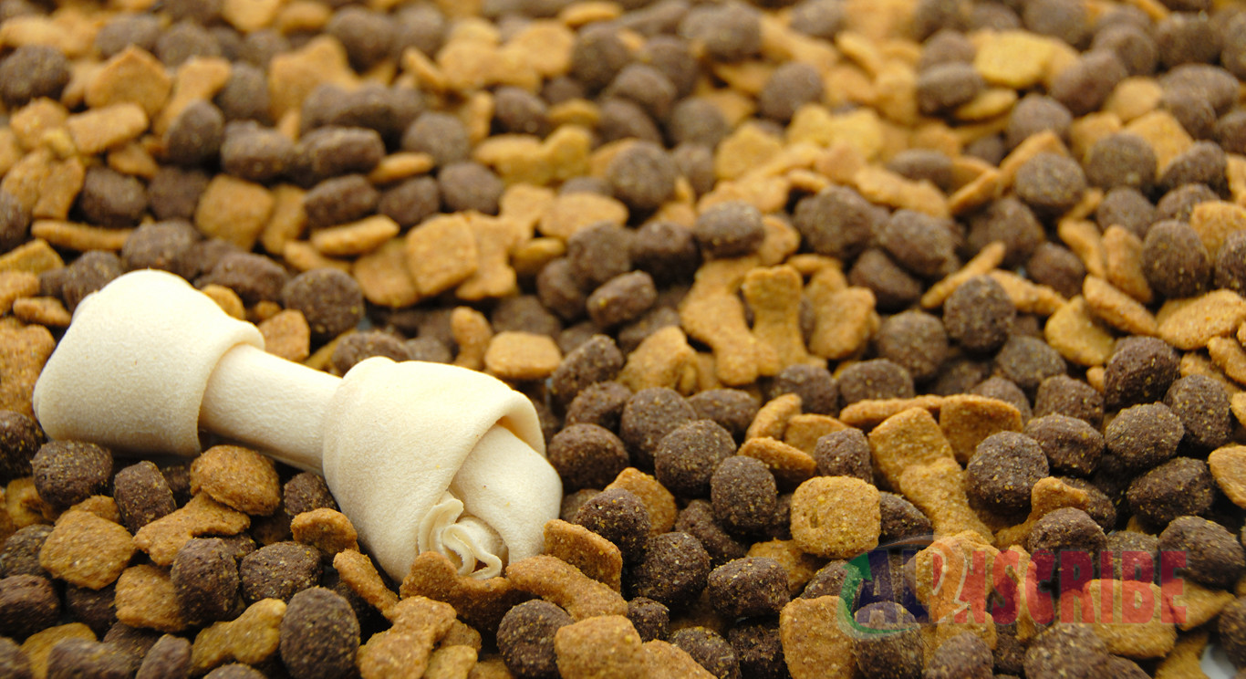 dog dry food