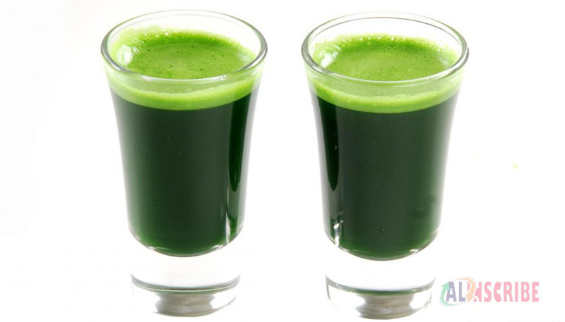 wheatgrass drink