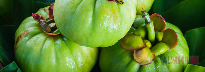 Garcinia Cambogia Plant