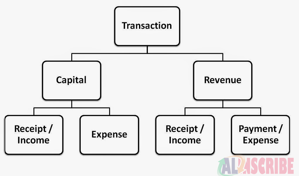 Transaction flow chart of Revenue & capital transactions.