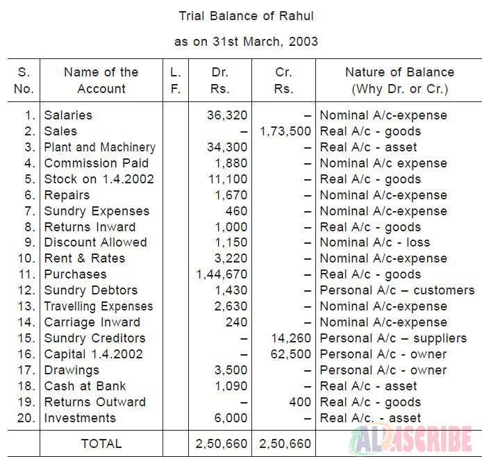 Trial balance with example