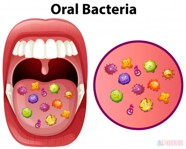 Oral bacteria