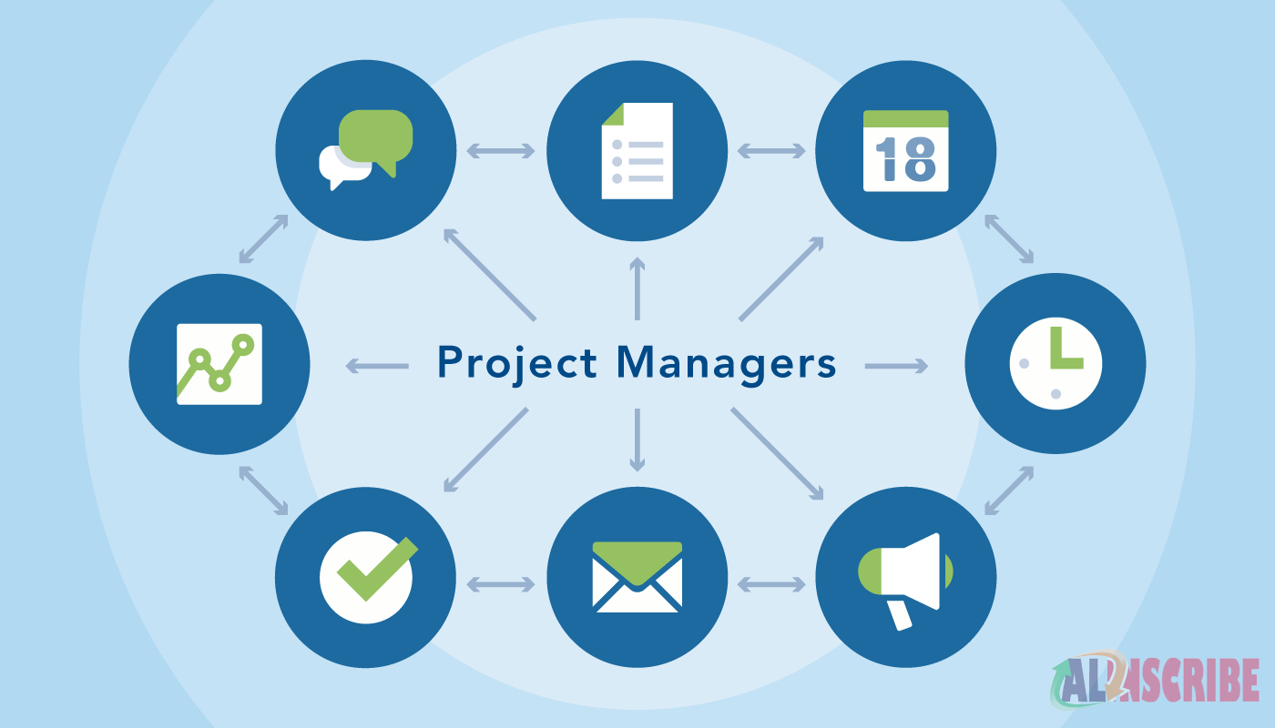 IT project managers