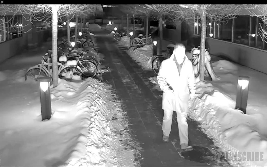 Imgaes in low-light security camera 