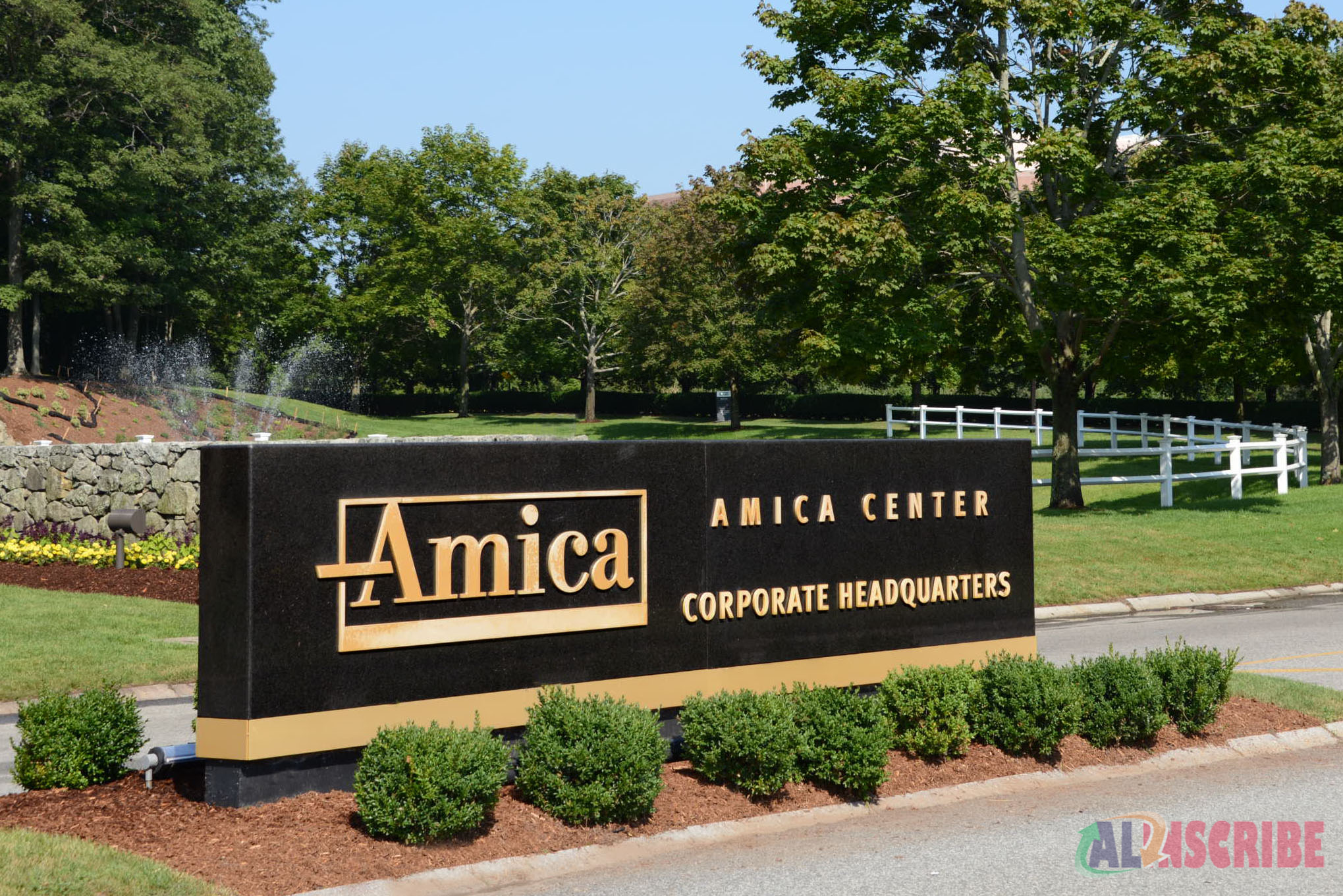 Amica office