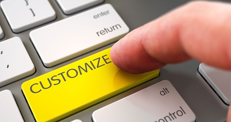 erp crm customization