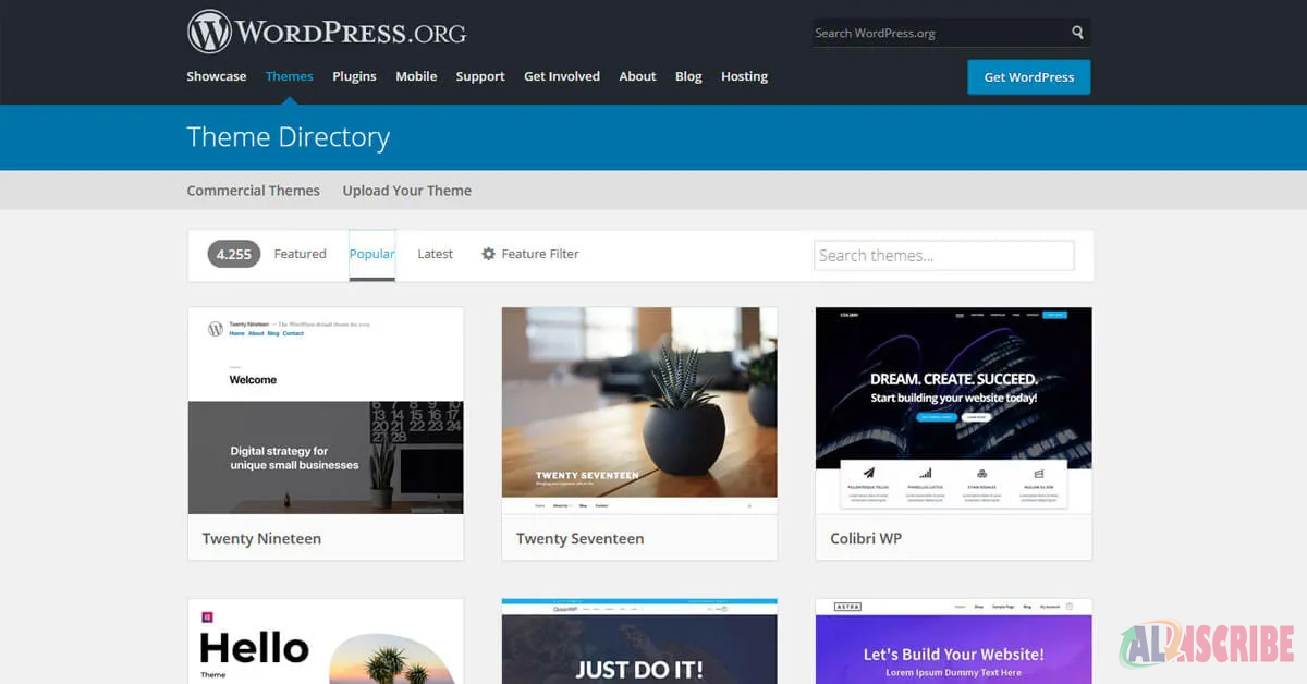 wordpress themes