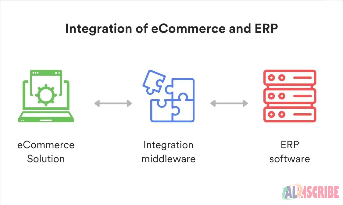 e-commerce ERP software