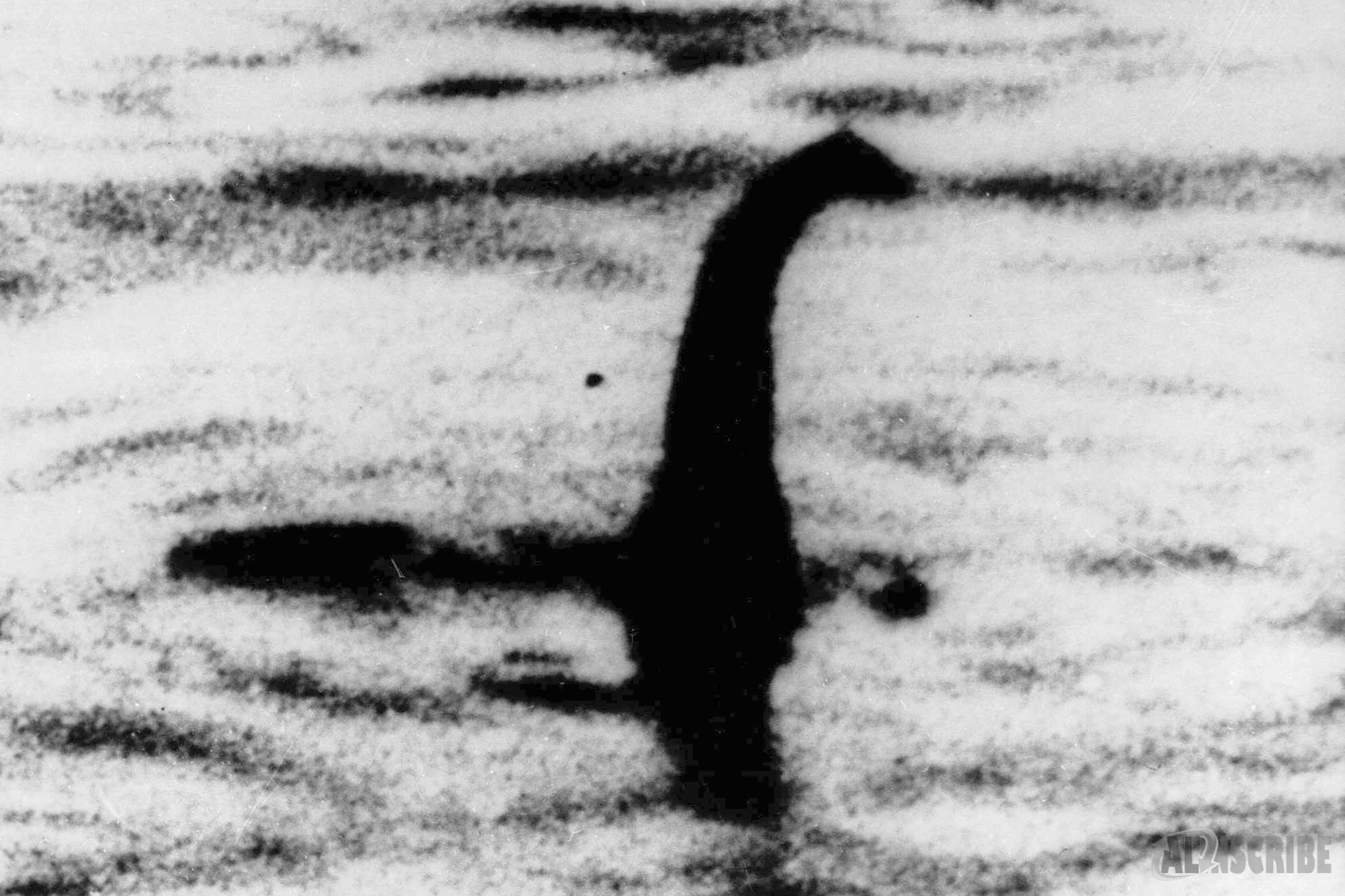 The Loch Ness Monster