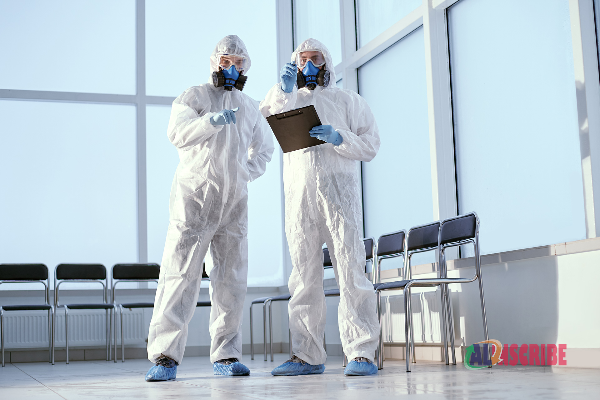professionals are doing termite inspection