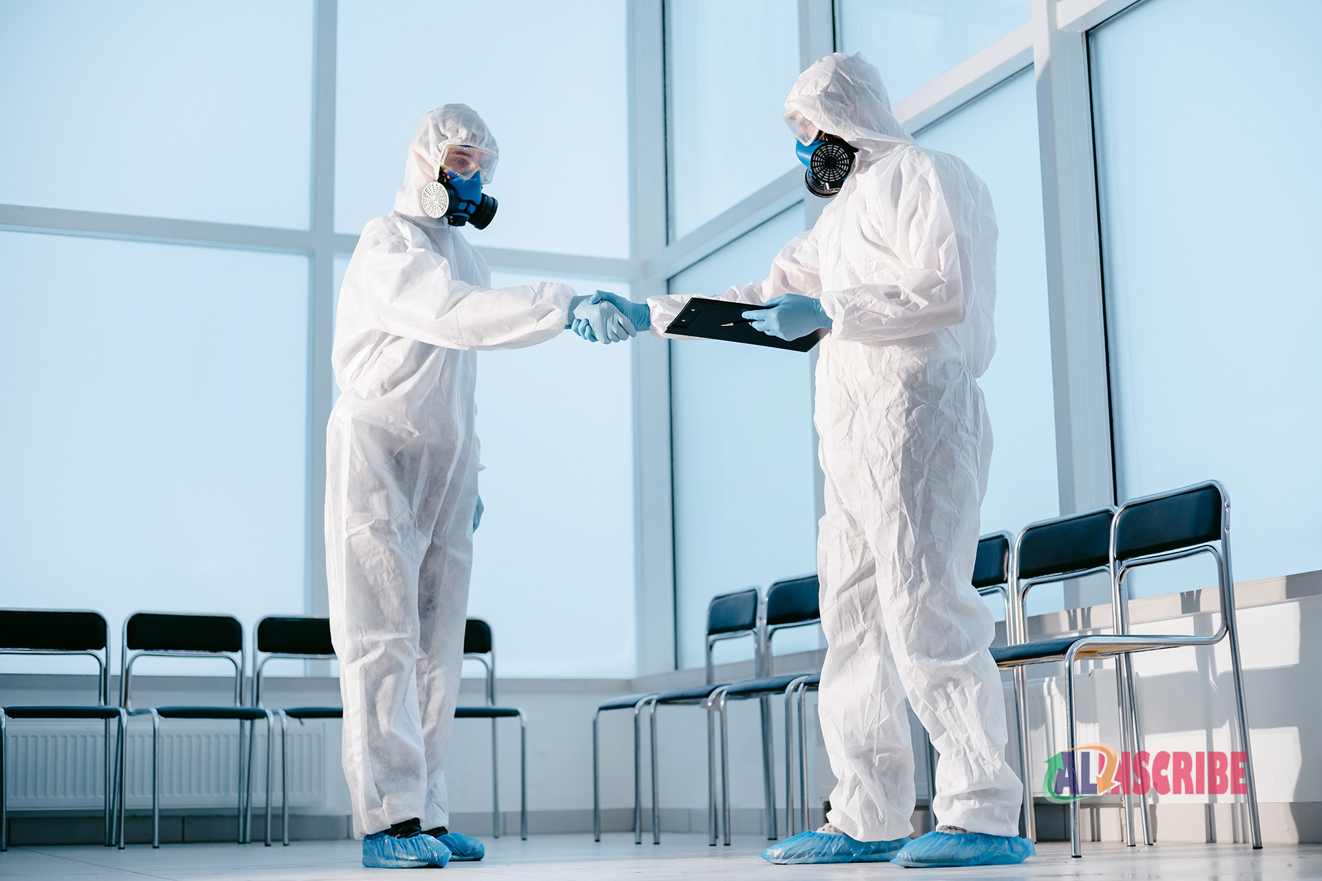 How Can You Find a Reliable Pest Inspection Company?